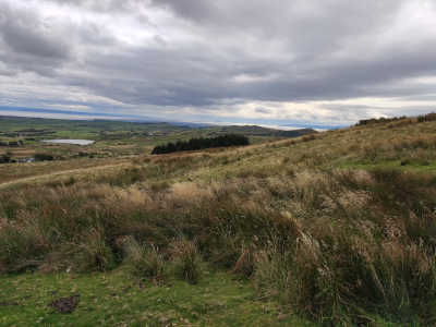 Description of posts thumbnail image for Alt text